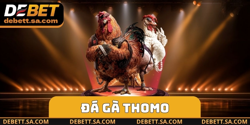 Đá Gà Thomo